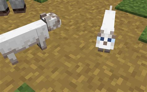 How to breed cats in Minecraft 1 19 update
