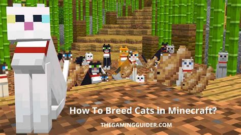 How to breed cats in minecraft