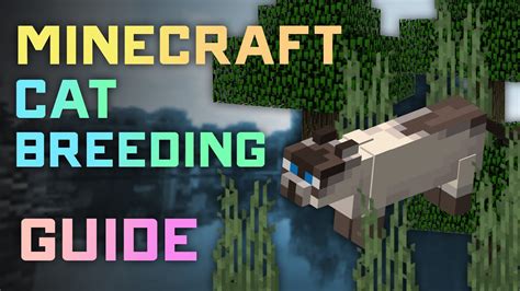 How to breed cats minecraft