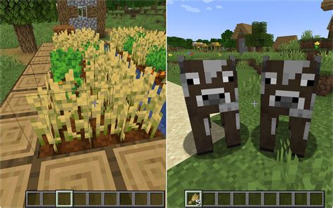How to breed cows in Minecraft 1 19