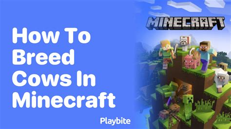 How to breed cows in minecraft pe