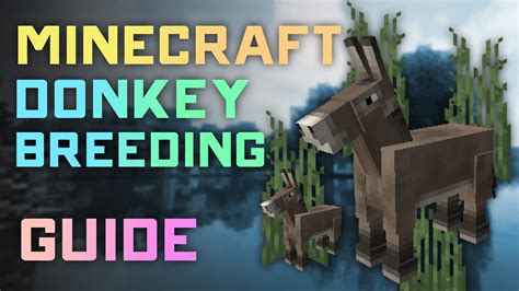 How to breed donkeys in minecraft