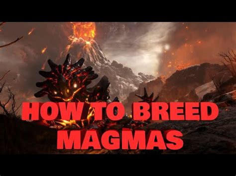 Ark: Magmasaur Taming and Breeding Guide!! The FattStuff. 9.77K subscribers. Subscribe. 9.1K views 3 years ago. Ark Genesis Magmasaur is a must have. From where to find the eggs, …. How to breed magmasaur