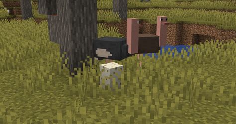 How to breed ostriches in minecraft