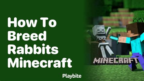 How to breed rabbits in minecraft