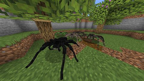 How to breed spiders in minecraft