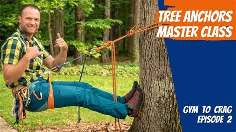 How to build an anchor around a tree.  Aug 12, 2022 · A tree trunk develops enormous shea...