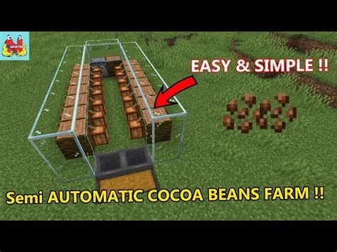 How to build an automatic cocoa beans farm in Minecraft