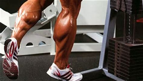 How to build mass in calves