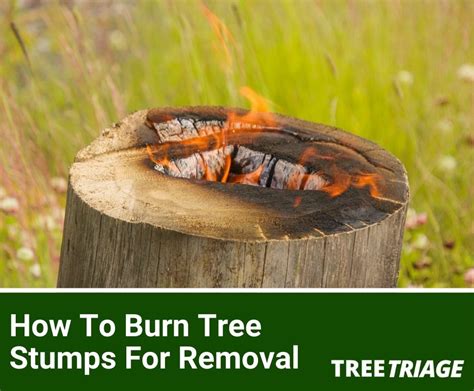 How to burn a stump. A shovel. Step-by-Step Directions for Burning a Stump. Attach the spade bit and the extender to your drill. Drill a hole from the top down into the center of the stump with your drill at a 30-degree angle. The hole should be about eight to 10 inches deep. Clean all of the debris out of the hole. 