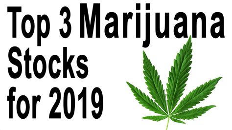 How to buy marijuanas stocks. Considering this, here are two trending marijuana stocks to watch in the stock market now. Marijuana Stocks To Buy [Or Avoid] Now. Curaleaf Holdings Inc. (OTCMKTS: CURLF) 