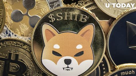 Supporters of the dog-themed cryptocurrency Shiba Inu (SHIB) have been clamoring for months to try and convince the popular mobile trading app Robinhood to list the meme coin. In fact, a petition ...