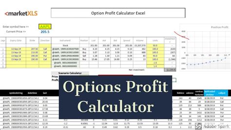 An options profit and loss calculator can help y