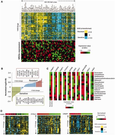 How to calculate the GI50 for super resistant cells that don´t reach …