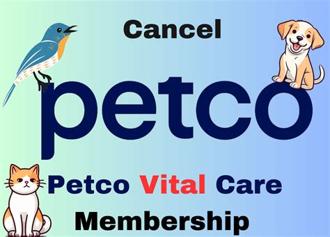 How to cancel petco vital care. 3. Request Cancellation: Provide your account details and state your intention to cancel the subscription. Petco Vital Care customer support will guide you through the cancellation process. 4. Confirm Cancellation: After canceling, ask for confirmation of your cancellation in writing or through email. This will serve as proof for future ... 