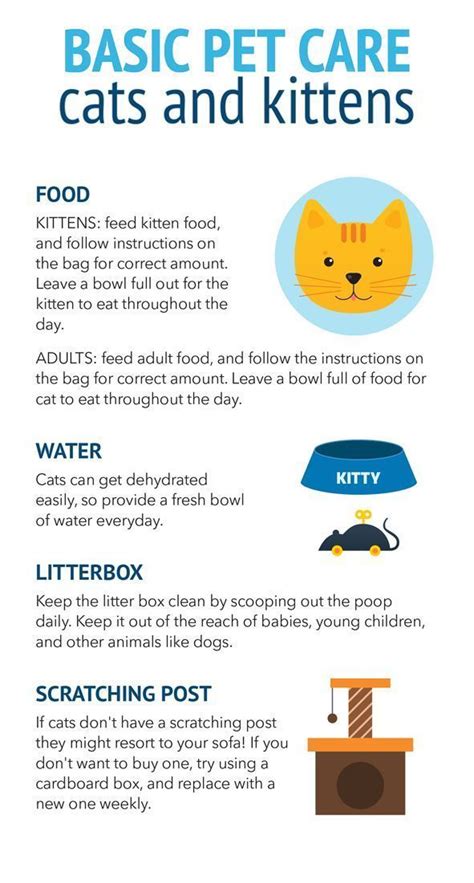 How to care for a kitten. Jul 21, 2023 · Here are our top 10 key rules to follow: 1. Help Your Cat Settle In. Your cat might be a little scared and timid when you first bring them home. The car journey, a new environment, new people, and possibly new animals is a lot of adjustment for a cat. Consider using a Feliway diffuser, which releases “happy” pheromones into the environment. 