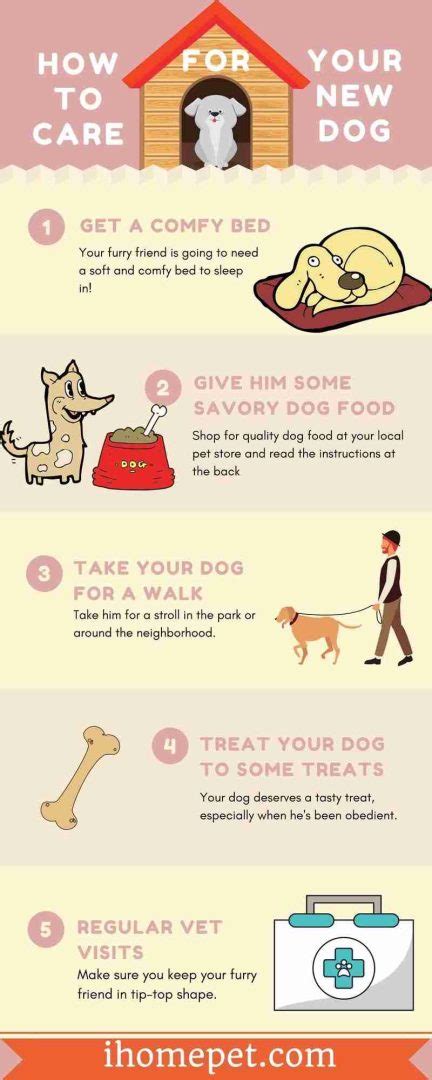 How to care for your dog