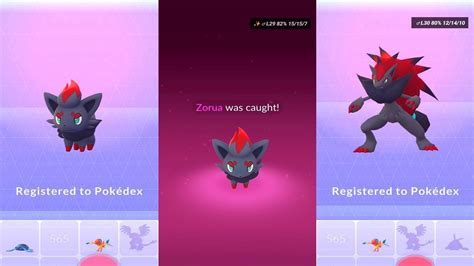 How to catch Zorua in Pokemon GO