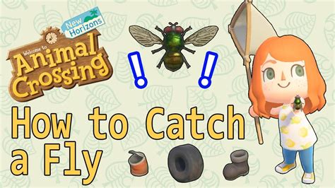 How to catch a fly in acnh. Now you have to do another thing to get your fly faster: go around the island scaring away or catching the insects you see. There seems to be a fixed number of insects you can have on your island, so you need to "remove" the other insects to make new ones spawn. ☺️ If you catch/scare the other insects, it will be easier to get the fly you need. 