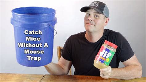 How to catch a mouse without a trap. Learn how to make your own humane mouse trap using household items like toilet roll, trash can and spoons. Also, find out which store bought mouse traps are safe and effective for catching mice alive. 