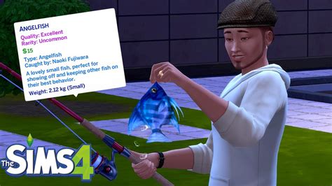 How to catch angelfish sims 4. Feb 23, 2023 · How To Get Angelfish in the Sims 4. 1 – Fishing (Slow Method, varies a lot) 2 – Purchase From The Gallery (Fast Method) 3 – Purchase from the Potion Ingredients Stall in the Magic Realm (Fast Method, can vary) 4 – Use The Debug Cheat (Fast Method) What is the Angelfish Cheat in The Sims 4? 