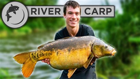 How to catch carp in a river