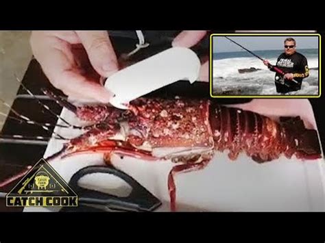 How to catch crayfish in kzn.  } catch (err: unknown) { Anything else is not supported.  The fac...