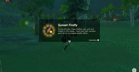 How to catch fireflies botw. Even with full stealth armor, you need to move somewhat slowly and carefully. Walking is fine, sprinting / running /jumping are not. And not all fireflies in a swarm are "real" - some of the glowing dots simply can not be caught. If you want to make it a lot easier, you can also just buy 5 fireflies from Beedle at the Rito Stable or Highland ... 