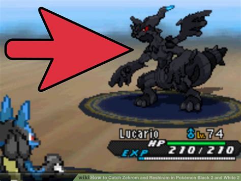 How to catch reshiram in pokemon white