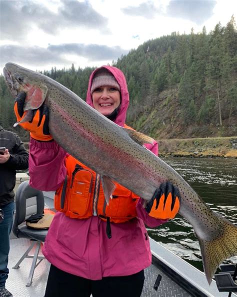 How to catch steelhead in washington