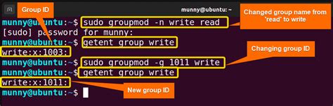 How to change group id in linux