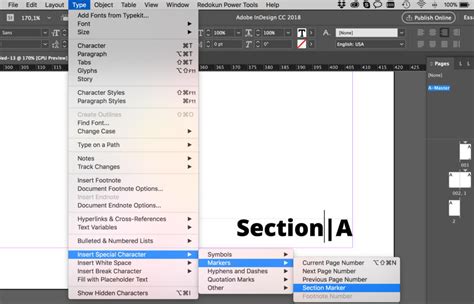 How to change page number in indesign