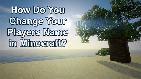 How to change player name in minecraft