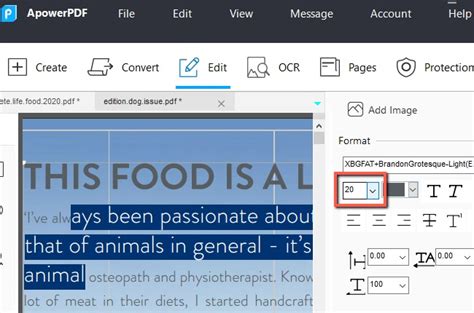 How to change text size in pdf