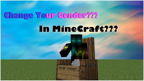 How to change the gender in Minecraft
