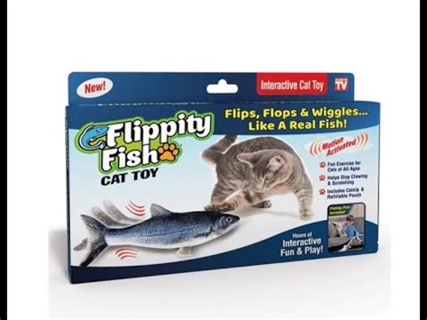 How to charge the Flippity Fish™ #FlippityFish #FloppyFish - YouTube