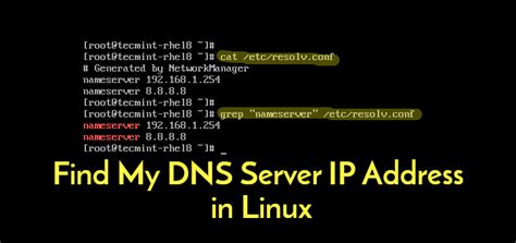 How to check dns ip in linux