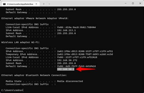 How to check lan connection in cmd