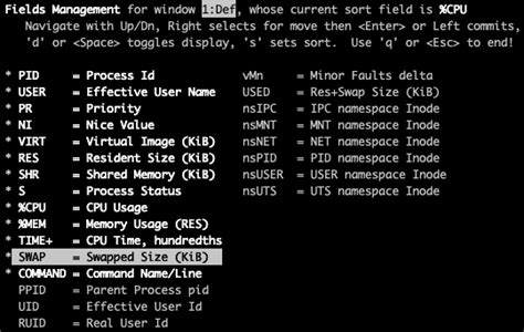 How to check memory utilization in solaris