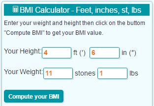How to check my bmi in stones