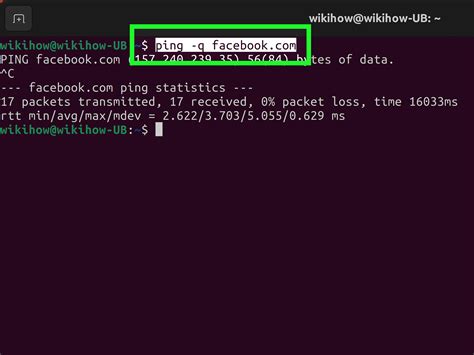 How to check ping in linux