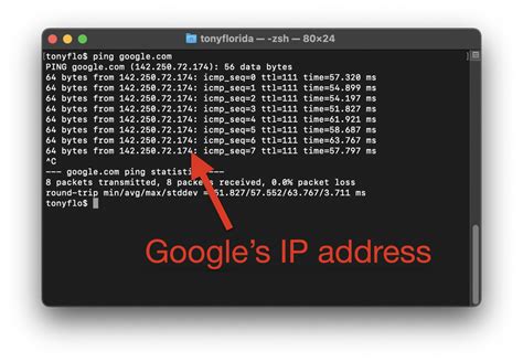 How to check ping in terminal mac