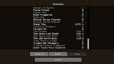 How to check playtime in Minecraft