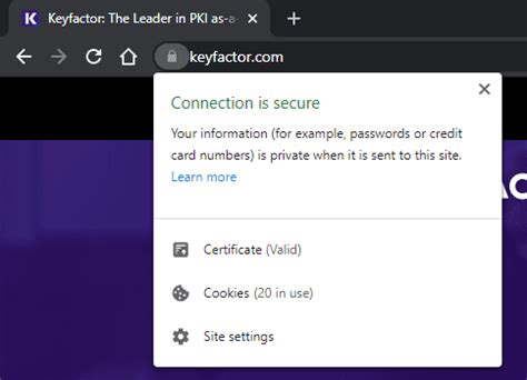 How to check ssl certificate in browser
