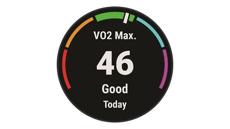 How to check vo2 max on garmin forerunner 55.  Estimates VO2 max.  That distinction affects e...