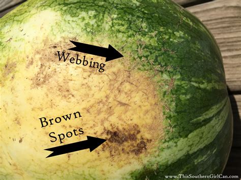How to check watermelon is sweet