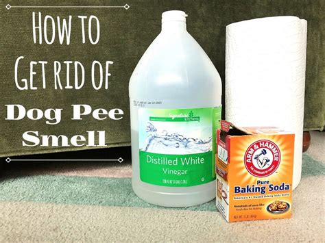 How to clean a carpet with dog urine. One other technique for using water, distilled white vinegar, as well as baking soda to clean up a urine stain on the carpet includes combining a c. of water with a c. of white vinegar inside a spray bottle. Once they’re blended together, add 2 Tbsp. of baking soda and vigorously shake until fully combined. 
