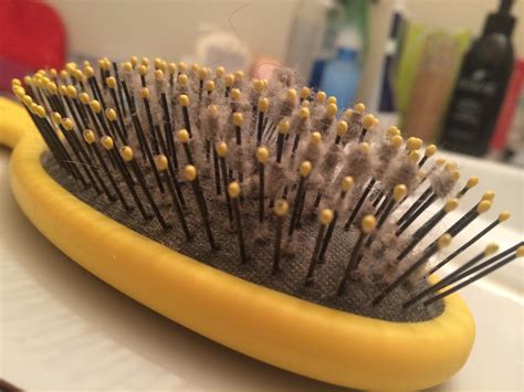 How to Clean a Hairbrush: Easy 5-Step Process