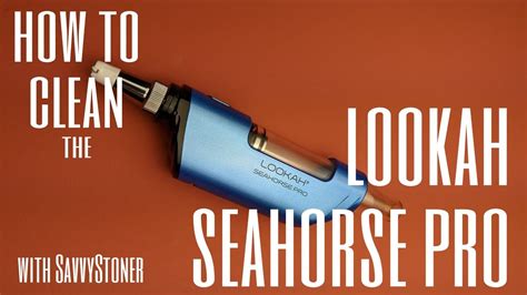 How to clean a seahorse pro. 