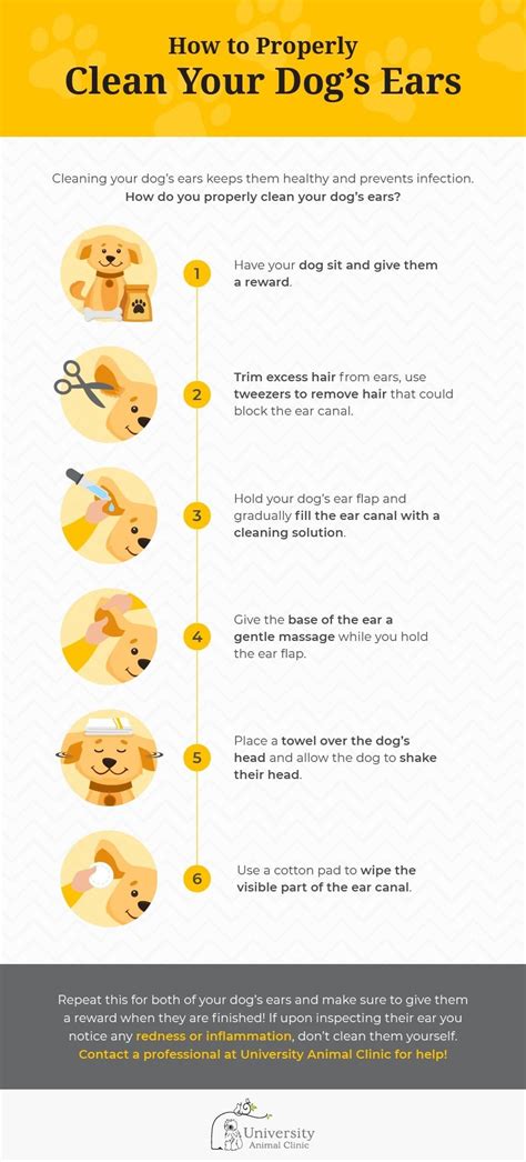 How to clean dog ears in 7 simple steps Tom s Guide